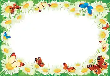 照片效果分类 夏 № 9785