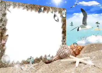 照片效果分类 夏 № 987