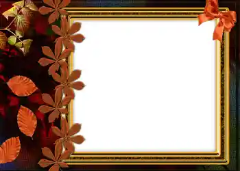 照片效果分类 秋 № 1004