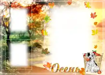 照片效果分类 秋 № 1009