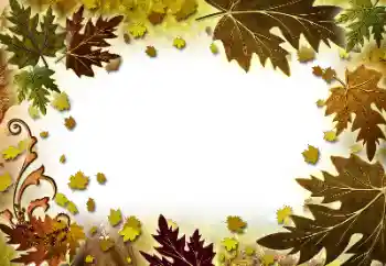 照片效果分类 秋 № 101278