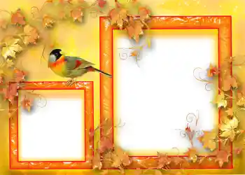 照片效果分类 秋 № 1124 照片效果分类 秋 № 1124