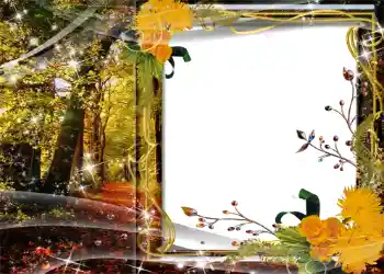 照片效果分类 秋 № 1127 照片效果分类 秋 № 1127