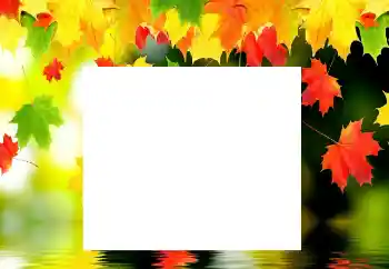 照片效果分类 秋 № 116137