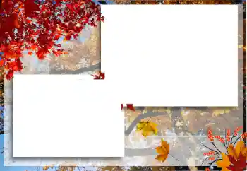 照片效果分类 秋 № 125722