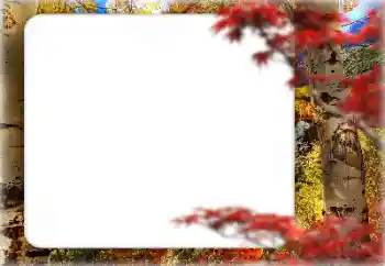 照片效果分类 秋 № 127331