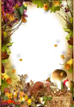 照片效果分类 秋 № 130403