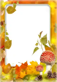 照片效果分类 秋 № 142243