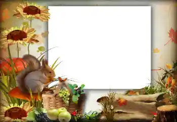 照片效果分类 秋 № 142363