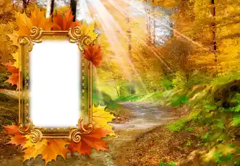 照片效果分类 秋 № 142463