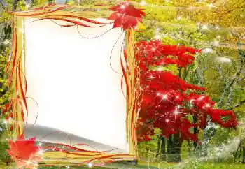 照片效果分类 秋 № 143481