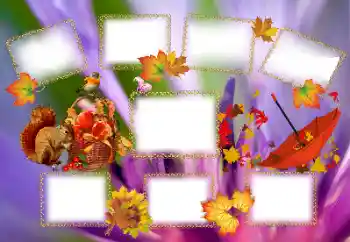 照片效果分类 秋 № 143637
