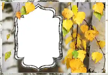 照片效果分类 秋 № 144851