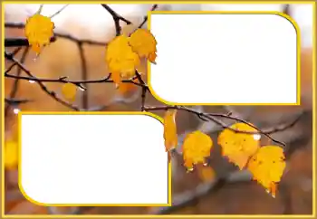 照片效果分类 秋 № 145075