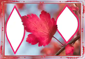 照片效果分类 秋 № 145078