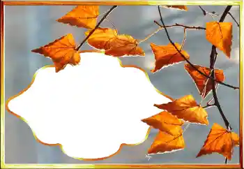 照片效果分类 秋 № 145079