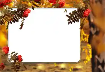 照片效果分类 秋 № 166546 照片效果分类 秋 № 166546