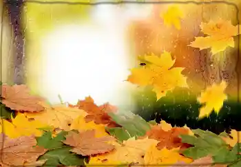照片效果分类 秋 № 174170