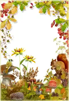 照片效果分类 秋 № 174322