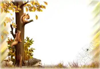 照片效果分类 秋 № 196642