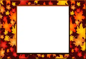 照片效果分类 秋 № 198908