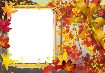 照片效果分类 秋 № 2015 照片效果分类 秋 № 2015