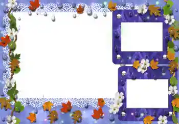 照片效果分类 秋 № 26745