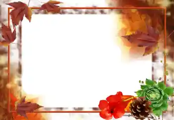 照片效果分类 秋 № 31707