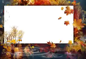 照片效果分类 秋 № 31864