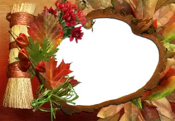 照片效果分类 秋 № 5620