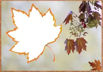 照片效果分类 秋 № 80359
