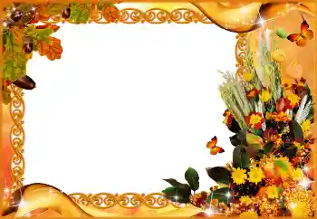 照片效果分类 秋 № 81680