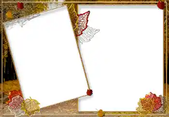 照片效果分类 秋 № 9719