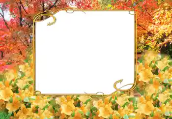 照片效果分类 秋 № 9797