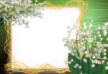 照片效果分类 春 № 113120