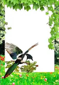 照片效果分类 春 № 147761