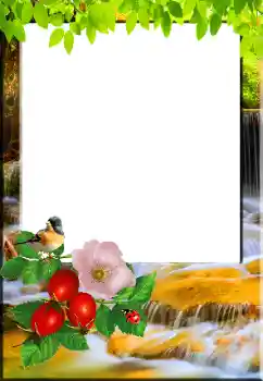 照片效果分类 春 № 148967