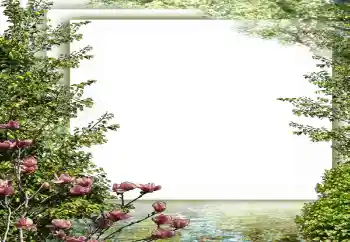 照片效果分类 春 № 149187