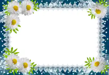 照片效果分类 春 № 149188 照片效果分类 春 № 149188