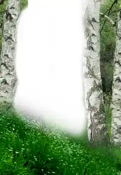 照片效果分类 春 № 149305