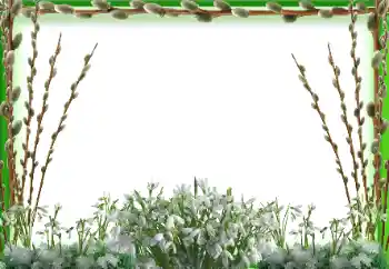 照片效果分类 春 № 197647