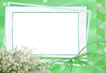 照片效果分类 春 № 33834