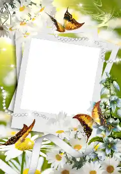 照片效果分类 春 № 4611 照片效果分类 春 № 4611