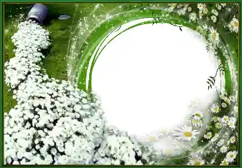 照片效果分类 春 № 4620