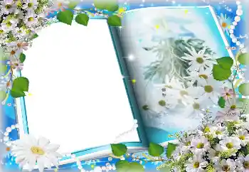 照片效果分类 春 № 4621