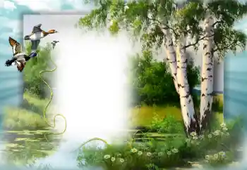 照片效果分类 春 № 49552