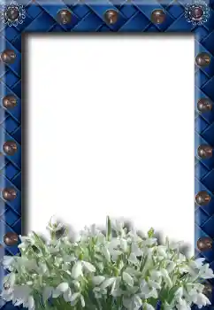 照片效果分类 春 № 8734