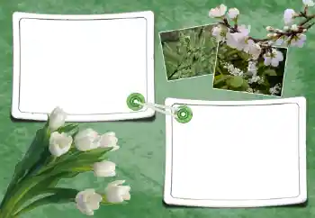 照片效果分类 春 № 93095