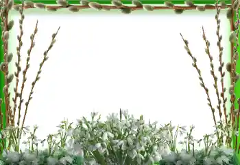 照片效果分类 春 № 94595