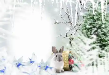 照片效果分类 冬 № 128650